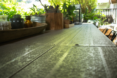 Little green plant decorated on metal table, stock photoの写真素材