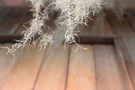 Old and grunge wooden wall, stock photoの写真素材