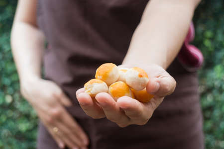 Traditional chinese yellow mini cakes on hand of baker, stock photoの写真素材