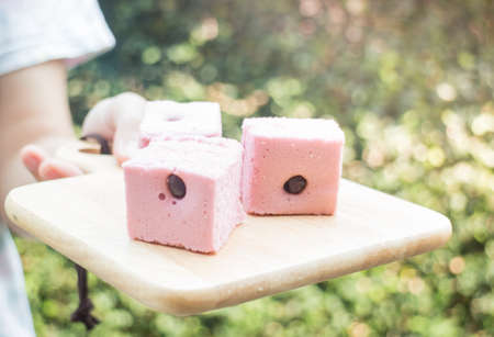 Hand on serving Thai steamed cotton cake, stock photoの写真素材