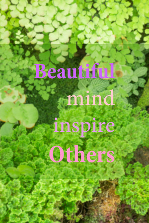 Beautiful mind inspire others. Inspirational quote, stock photo