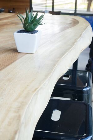 Mini plant pot on wooden table, stock photo