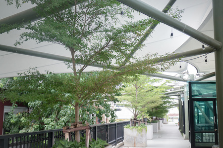 Green Plants On Rooftop Garden, stock photoの写真素材