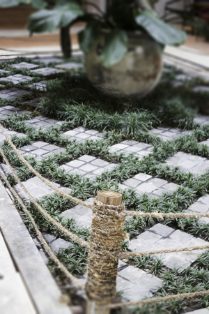 Green plant and stone in the garden, stock photoの写真素材