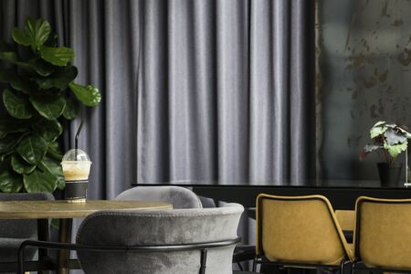 Tropical green plant interior of coffee shop, stock photoの写真素材