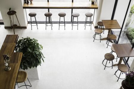 Tropical green plant pot interior, stock photoの写真素材