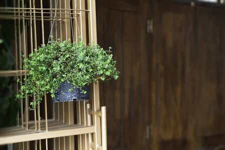 Green house decorated with plant pots, stock photoの写真素材