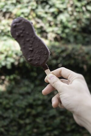 Summer sweet chocolate icecream bar, stock photoの写真素材