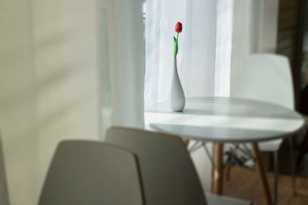 Flower vase with bright light from the window, stock photoの写真素材