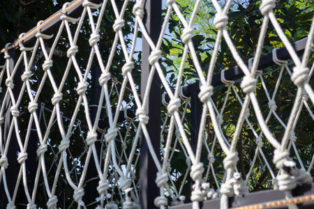 Canopy bridge on summer field, stock photo