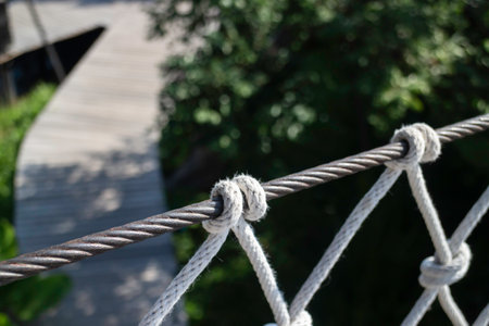 Canopy bridge on summer field, stock photo