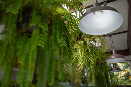 Modern contemporary living room interior , stock photoの写真素材