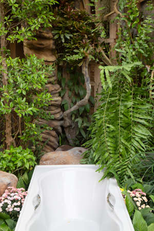 Ornamental plant in the garden, stock photoの写真素材