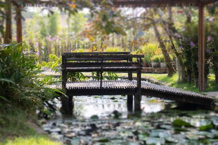 Simple resort furniture seat setting arrangement, stock photoの写真素材