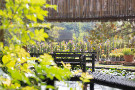 Simple resort furniture seat setting arrangement, stock photoの写真素材