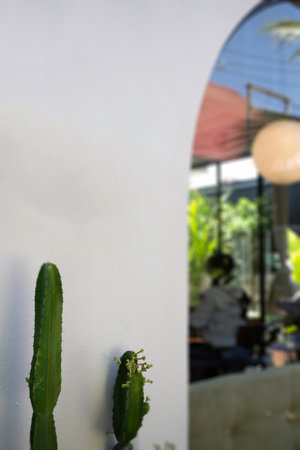 Indoors garden plant pot decoration, stock photoの写真素材