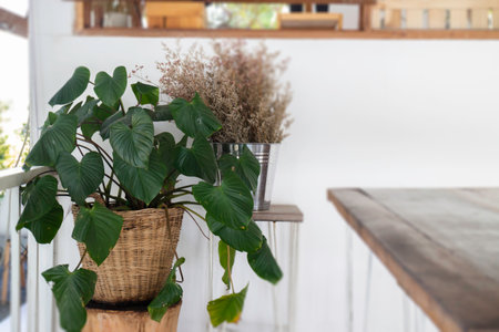 Chilled out at minimal coffee shop, stock photoの写真素材