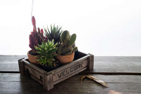 Chilled out surroundings of sunlight lake, stock photoの写真素材