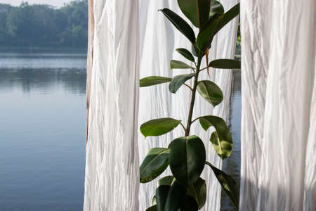 Chilled out surroundings of sunlight lake, stock photoの写真素材