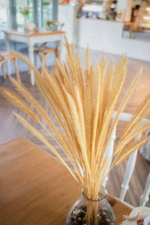 Living area and empty space, stock photoの写真素材