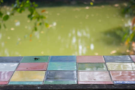 Green leaves plant decorated in the garden, stock photoの写真素材