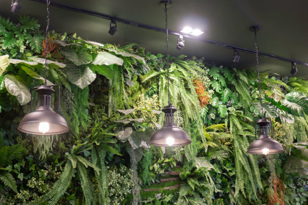Varieties tropical rainforest foliage plants, stock photoの写真素材