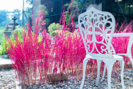 Pink summer garden of resort exterior, stock photoの写真素材