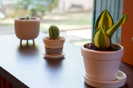 Public place interior design in quarantine time, stock photoの写真素材