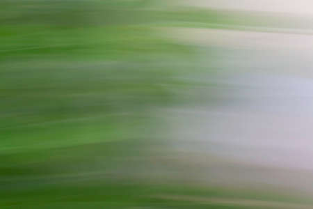 Bright spring leaves on the tree, stock photo