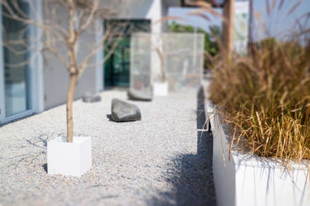 Minimal outdoors garden white color exterior, stock photo