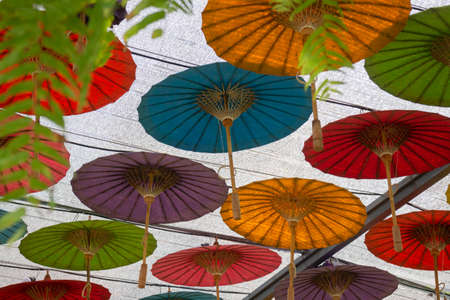 Summer garden with green leaves plant, stock photoの写真素材
