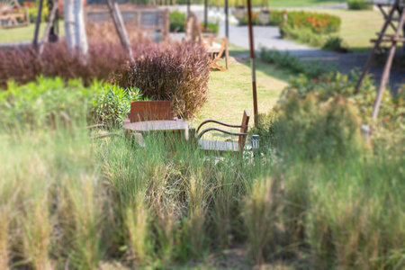 Summer garden with green leaves plant, stock photo