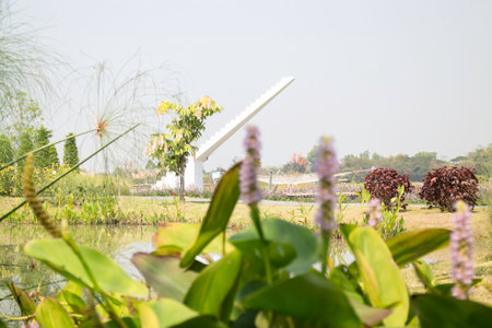 Summer garden with green leaves plant, stock photo