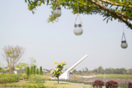 Summer garden with green leaves plant, stock photo