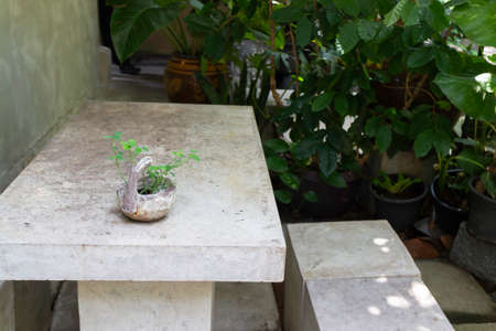 Minimal style decoration of outdoor garden, stock photo