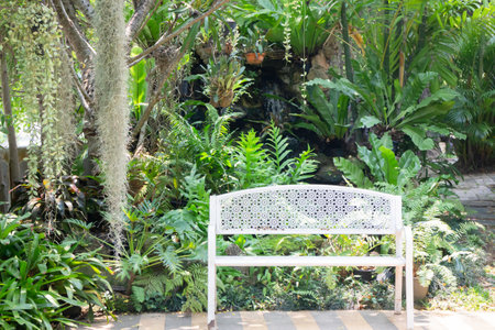 Air purifying plants for home, stock photoの写真素材