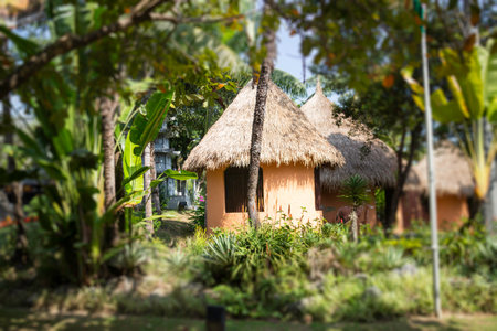 Botanical garden green branches of plant, stock photoの写真素材