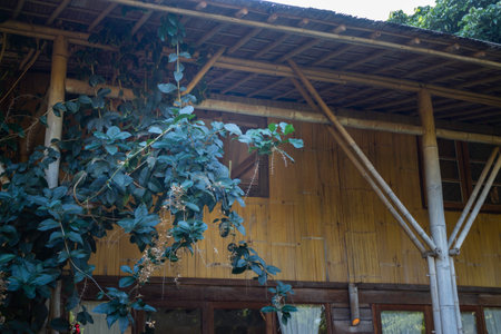 Thai traditional house wooden wall, stock photoの写真素材