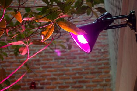 Coffee shop or cafe restaurant minimal style interior, stock photoの写真素材