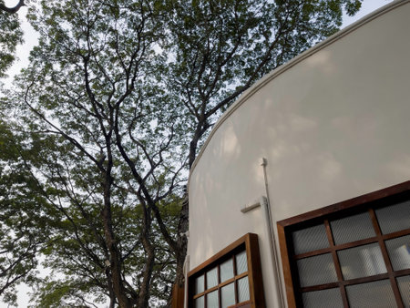 Coffee break in a cozy cafe, stock photoの写真素材