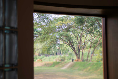 Decoration of coffee shop in Thailand, stock photoの写真素材