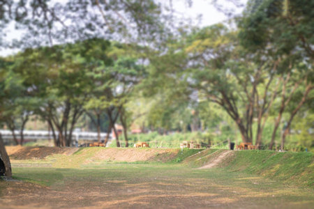 Decoration of coffee shop in Thailand, stock photoの写真素材