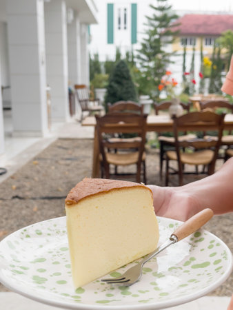 Piece of cheesecake serving in the garden, stock photoの写真素材