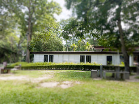 Green tree park area apartment building, stock photo
