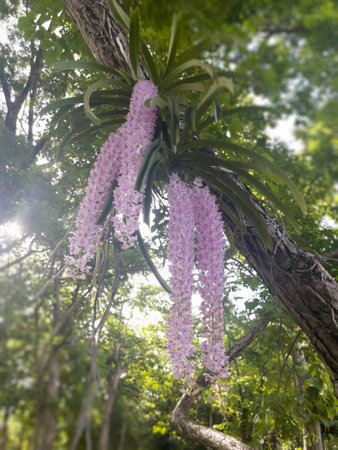 Blooming saturate purple orcid on the blur green background, stock photo