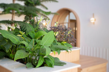 Interior of stylish white and green room, stock photoの写真素材