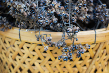 Display of local produce at outdoor farmers market, stock photoの写真素材