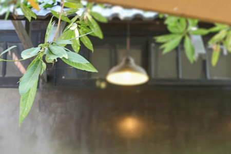 Exterior design and decoration furniture at coffee shop, stock photoの写真素材