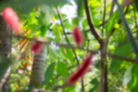 Exterior design and decoration furniture at coffee shop, stock photoの写真素材