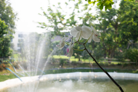 Garden seats in a coffee cafe concept of relaxing, stock photoの写真素材
